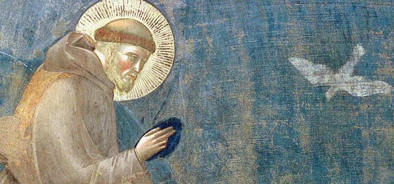 Immagine Francesco D'Assisi